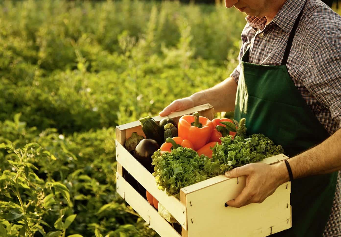 Agricoltura, Confeuro: con Pac, Ue a un bivio, rivedere bilancio pluriennale