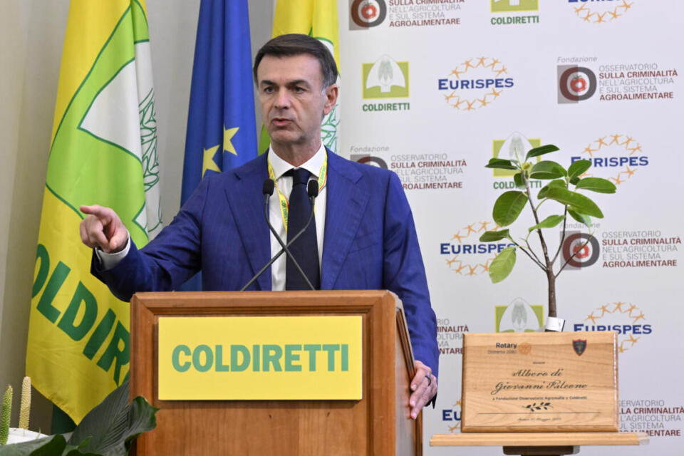 Ue: Coldiretti, taglio 20% Pac è disastro annunciato