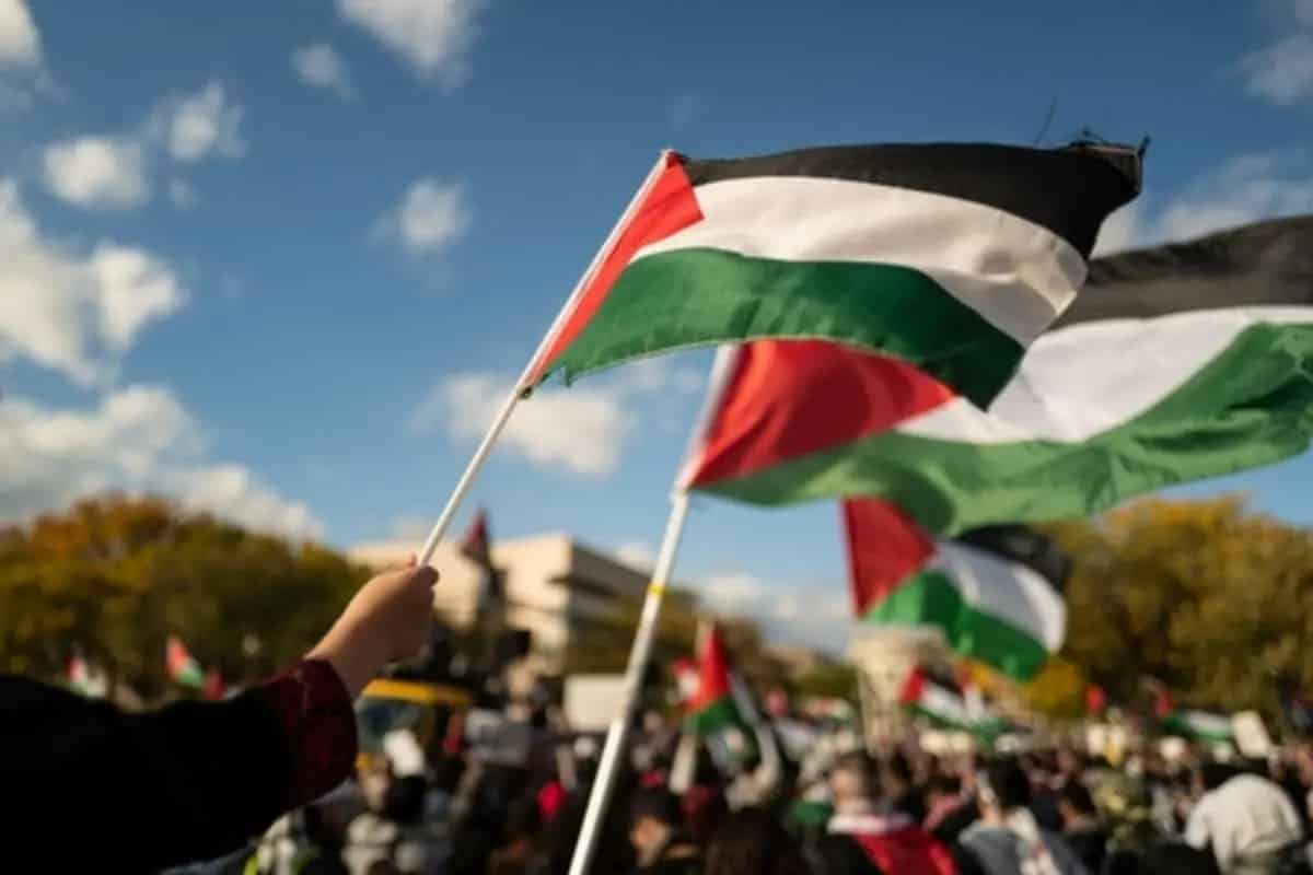 Sciopero generale per Gaza: Codacons contro Salvini