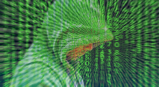 Cybersicurezza: il 15,8% delle imprese ha subito conseguenze da incidenti informatici