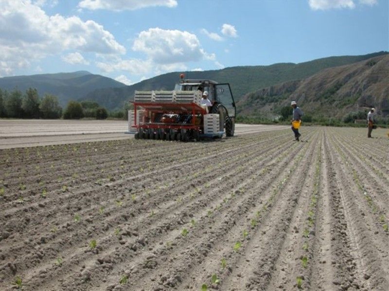 Decreto flussi è legge. Confagricoltura: positive nuove misure per settore agricolo