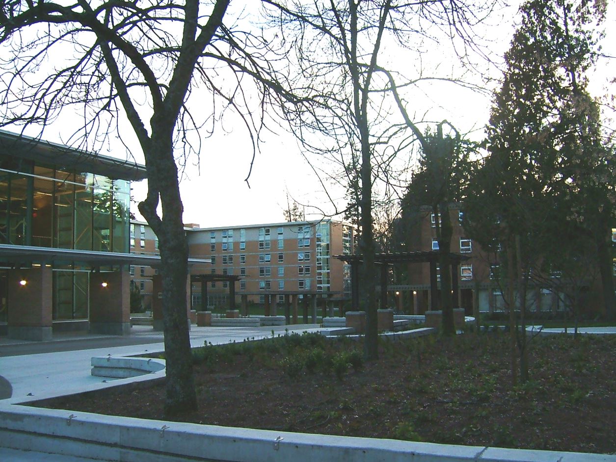 Sempre più studenti americani chiedono di iscriversi alle università canadesi