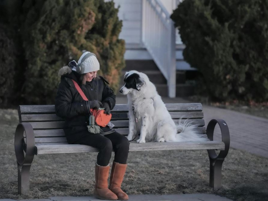 Tale cane, tale padrone: ora lo dice anche la scienza