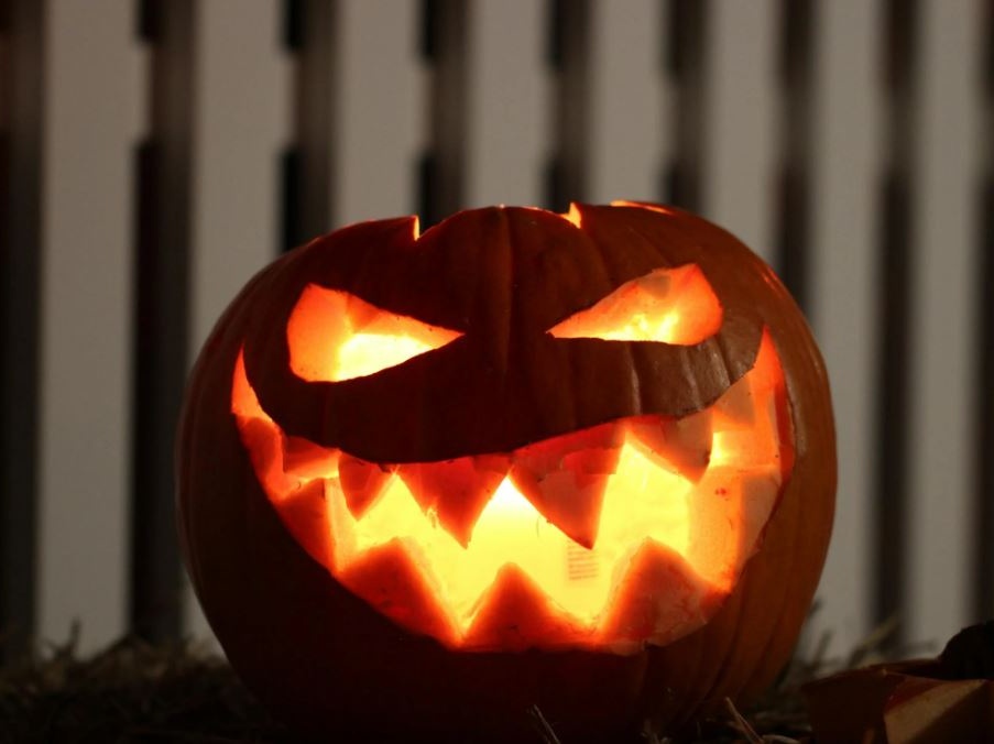 Halloween, allarme SILB-FIPE: vetrina dell’illegalità