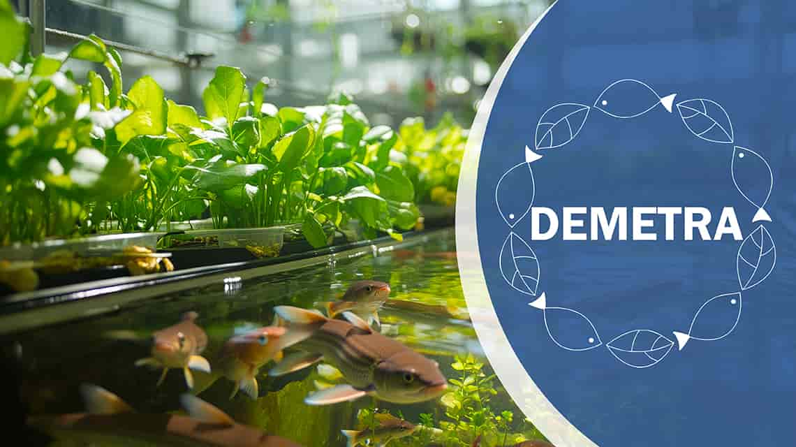 Agroindustria: ENEA, sistema hi-tech per produrre cibo di qualità in ambienti chiusi