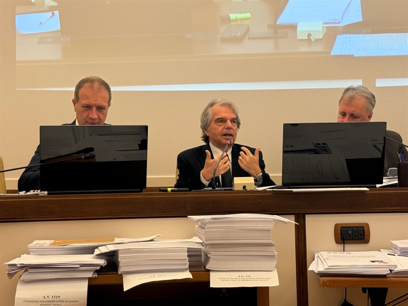 Manovra, l'audizione del Presidente del Cnel Renato Brunetta alle Camere