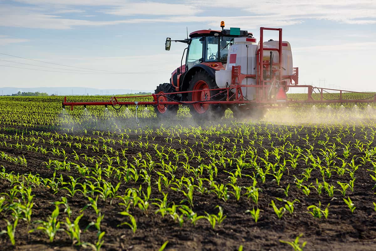 Agricoltura, Confeuro: “Rigenerativa grande potenziale per settore primario”