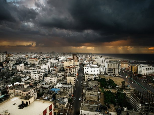 Gaza, Sulala Animal Rescue: il rifugio dove uomini e animali dividono l'ultimo pasto